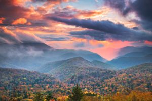 dentist in Asheville, NC